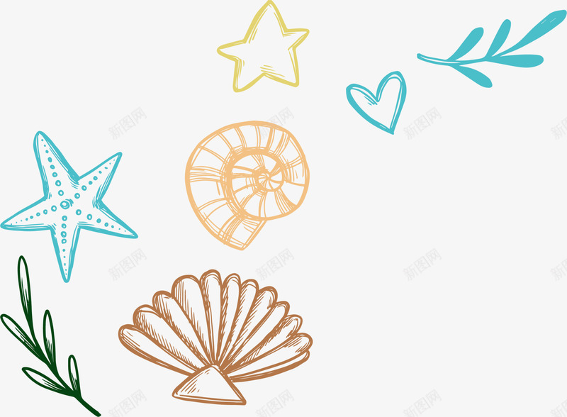 海洋生物海螺贝壳png免抠素材_新图网 https://ixintu.com 手绘 海星 海洋生物 海生生物 海螺 画画 贝壳