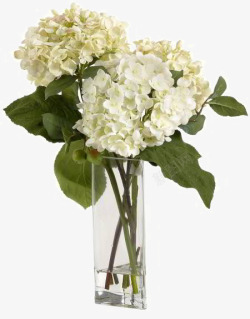 玻璃易碎白色花卉装饰玻璃花瓶软装摆设高清图片