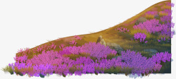 薰衣草地紫色梦幻植物矢量图素材