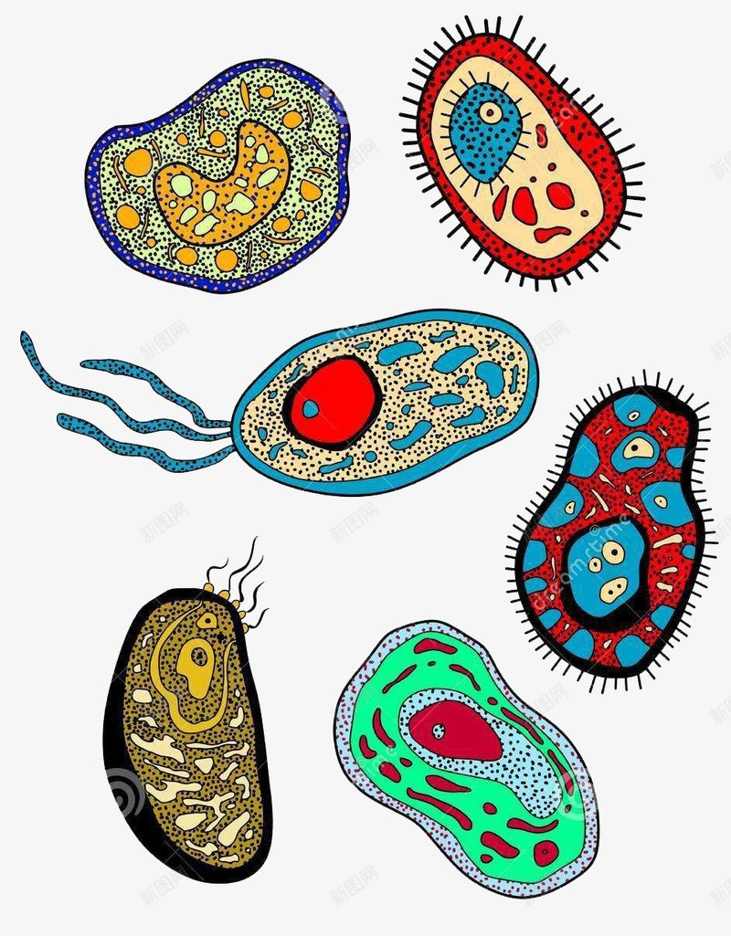 可爱彩色生物医学细胞手绘图png免抠素材_新图网 https://ixintu.com 健康 医学细胞 彩色 微型 手绘 插画 科研 细胞