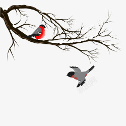 冬季树枝枝头鸟高清图片