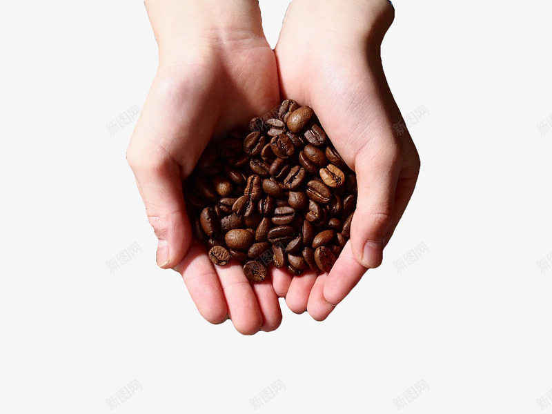 手捧咖啡豆png免抠素材_新图网 https://ixintu.com 双手 咖啡 咖啡果实 咖啡源材料 咖啡豆 干果 烘焙 褐色