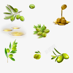 油橄榄素材绿色橄榄油橄榄果高清图片