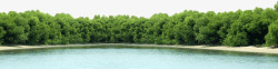 湖边绿树装饰画湖边森林高清图片