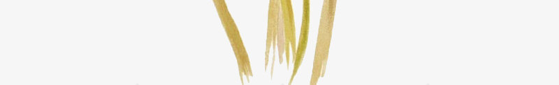 红色新鲜的花朵png免抠素材_新图网 https://ixintu.com 叶子 手绘花朵 红花 绿叶 绿植 花卉 花朵 花朵装饰