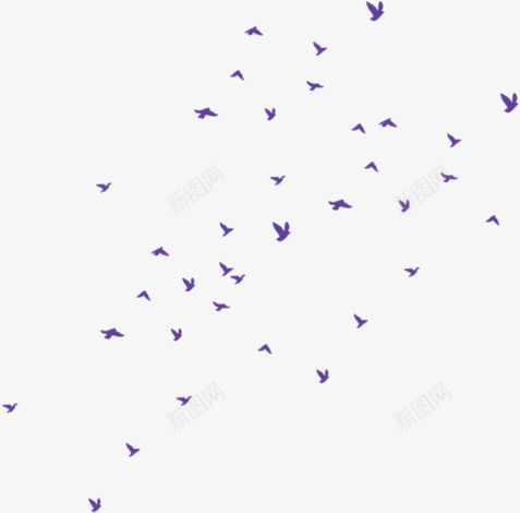 飘舞紫色小鸟png免抠素材_新图网 https://ixintu.com 小鸟 紫色 飘舞