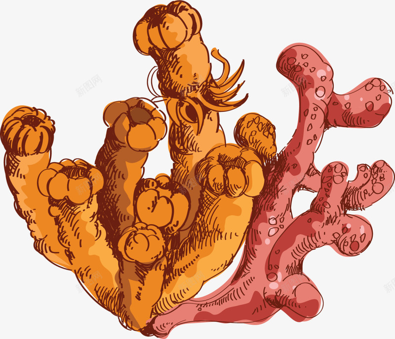 海洋生物手绘珊瑚png免抠素材_新图网 https://ixintu.com 手绘珊瑚 水彩 海洋生物 画画 绘画 茂盛珊瑚