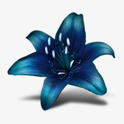 蓝色花朵贝壳和蝴蝶图标png_新图网 https://ixintu.com png 图标 花朵 蓝色 蝴蝶 贝壳