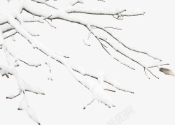 冬日雪景树枝创意素材