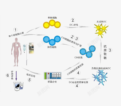 人体细胞循环png免抠素材_新图网 https://ixintu.com png 人体 循环 生物 细胞