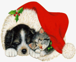 盖着圣诞帽的猫和狗素材