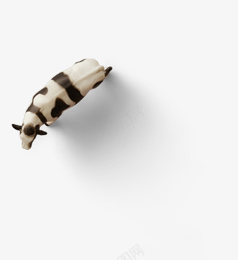 白色花纹奶牛造型卡通png免抠素材_新图网 https://ixintu.com 卡通 奶牛 白色 花纹 造型