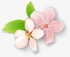 手绘粉色唯美花朵植物装饰素材