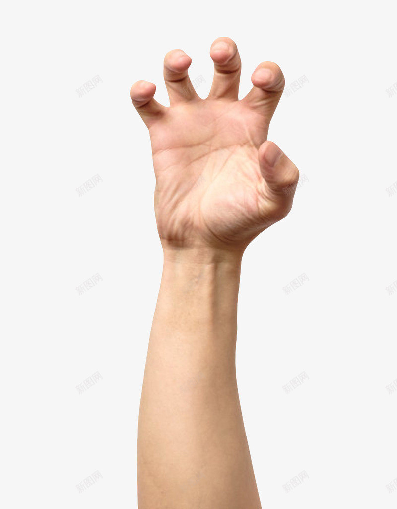 动物爪子手臂示意图png免抠素材_新图网 https://ixintu.com 上肢 伸手 意思 手掌 手臂示意图 抓 指示 粗壮 老虎 肢体 表示 龙爪手