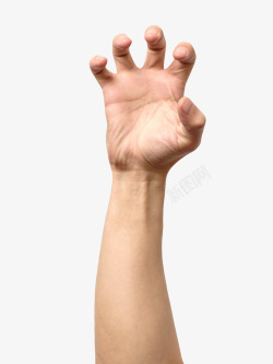 龙爪动物爪子手臂示意图高清图片