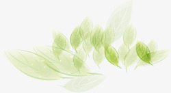 绿色树叶朦胧彩绘素材
