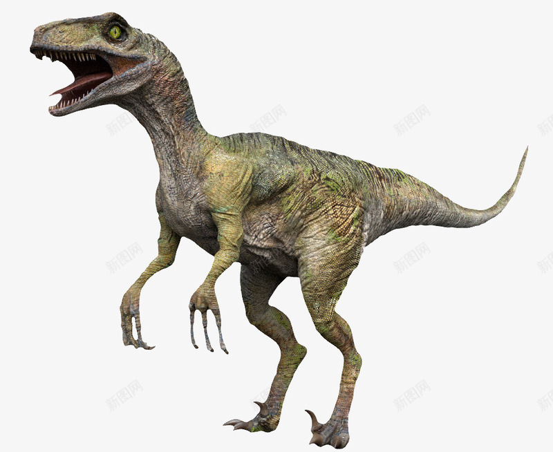 尖齿利爪3D恐龙png免抠素材_新图网 https://ixintu.com 3D恐龙 两只腿恐龙 奔跑3D恐龙 尖嘴恐龙 尖齿利爪3D恐龙 恐龙