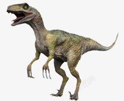 尖齿利爪尖齿利爪3D恐龙高清图片