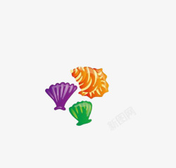 彩色的贝壳和海螺素材