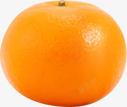 矢量水果橘子橙色橘子高清图片