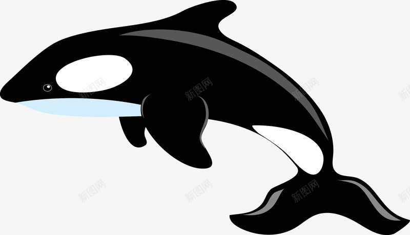 海豚矢量图ai免抠素材_新图网 https://ixintu.com 动物 可爱 水中生物 海豚 灵性 矢量图