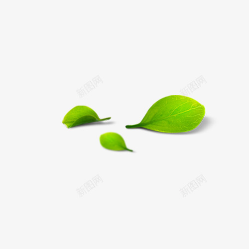 2片绿色的叶子png免抠素材_新图网 https://ixintu.com 叶子 植物 电商春上新 绿色的