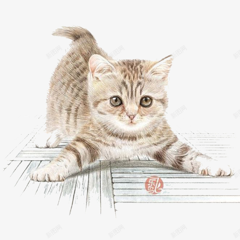 卡通手绘猫咪psd免抠素材_新图网 https://ixintu.com 手绘 猫咪