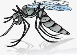 超声波防蚊一个蚊子高清图片