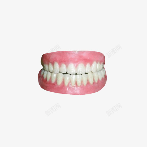 牙齿png免抠素材_新图网 https://ixintu.com 个性 假牙 口腔 另类 牙齿