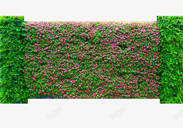 利用植物来砌墙png免抠素材_新图网 https://ixintu.com 减少噪音 好处 环境 绿化 绿植墙 美化