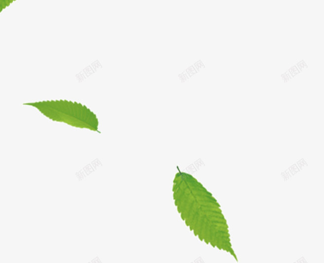 绿色漂浮绿叶树叶叶子png免抠素材_新图网 https://ixintu.com 叶子 树叶 漂浮 绿叶 绿色
