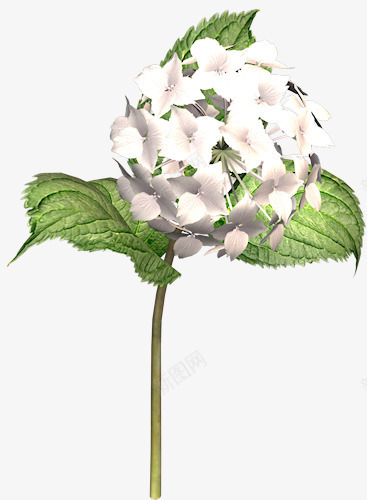 卡通手绘花朵植物白色小碎花png免抠素材_新图网 https://ixintu.com 叶子 小清新 白色花朵 绿色
