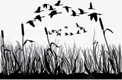 大雁南飞一群飞翔的鸟矢量图高清图片