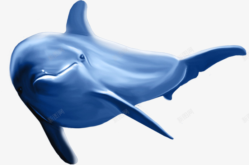 海豚图案png免抠素材_新图网 https://ixintu.com 海豚 鱼类 鲨鱼图案 鲸鱼