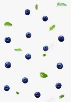 蓝莓叶子蓝莓背景高清图片