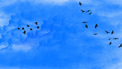 漫游天下景观蓝天下飞翔的鸟群景观高清图片
