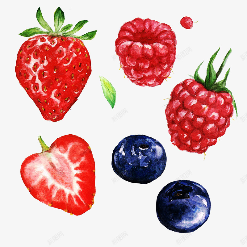 食物水果png免抠素材_新图网 https://ixintu.com 手绘 插画 果实 桑椹 草莓 蓝莓