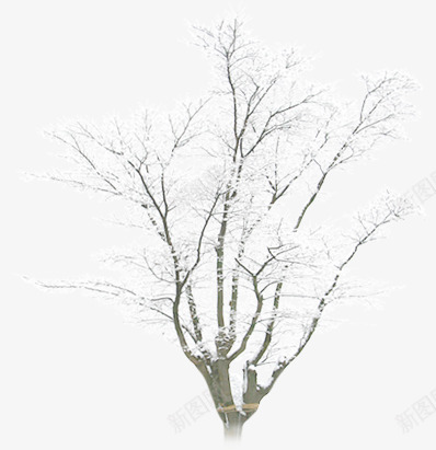 合成效果冬天的树木造型合成雪花png免抠素材_新图网 https://ixintu.com 冬天 合成 效果 树木 造型 雪花