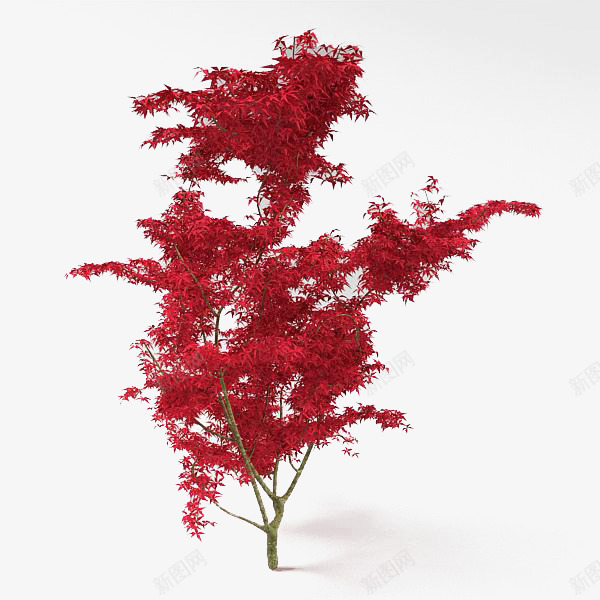 红色的游戏树png免抠素材_新图网 https://ixintu.com 3D树木 树木 游戏 游戏场景 游戏树 电子游戏