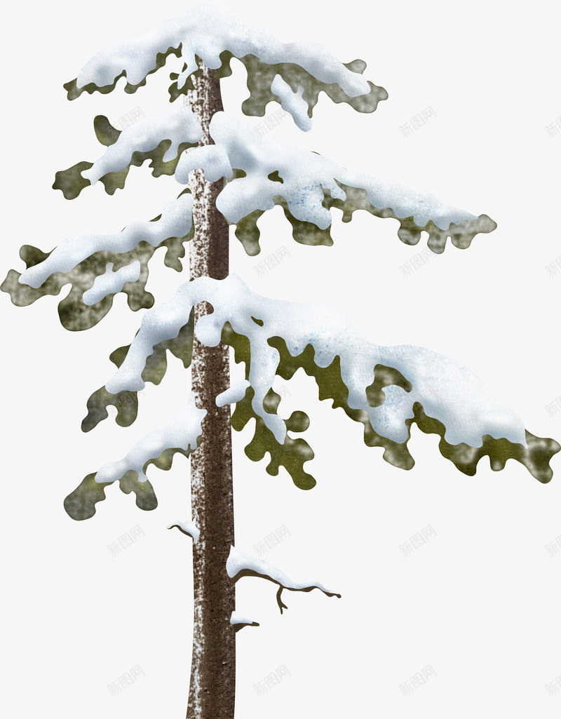 冰雪覆盖的松树png免抠素材_新图网 https://ixintu.com 下雪 冬天 冬季树枝 冰雪 枝头 树枝 雪压枝头