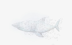 线条鲨鱼鲨鱼高科技点线面线条高清图片