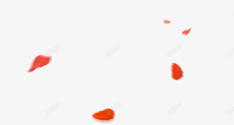 花瓣红色花瓣漂浮装饰png免抠素材_新图网 https://ixintu.com 漂浮 红色 花瓣 装饰