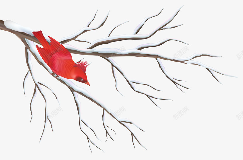 被雪覆盖的树枝和红鸟png免抠素材_新图网 https://ixintu.com 冬天 树枝 红鸟 绘画 雪景
