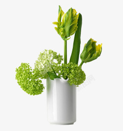 花瓶绣球花绿色插花小品高清图片
