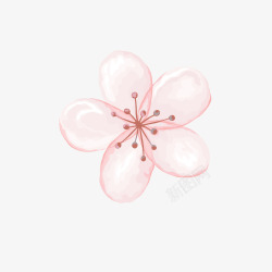 粉色系粉色系花朵彩绘图高清图片