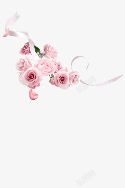 粉色花鲜花束粉色玫瑰花装饰高清图片