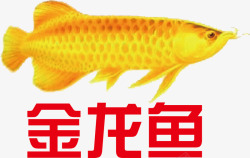金龙金龙鱼logo图标高清图片