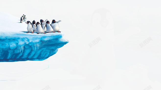 摄影合成企鹅冰块png免抠素材_新图网 https://ixintu.com 企鹅 冰块 合成 摄影