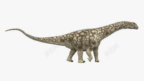 长颈龙png免抠素材_新图网 https://ixintu.com 侏罗纪 卡通恐龙 巨型动物 远古生物