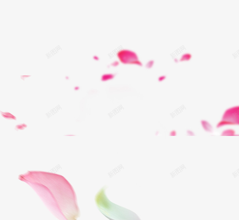 洒落花瓣png免抠素材_新图网 https://ixintu.com 春季 洒落 花瓣 装饰图案